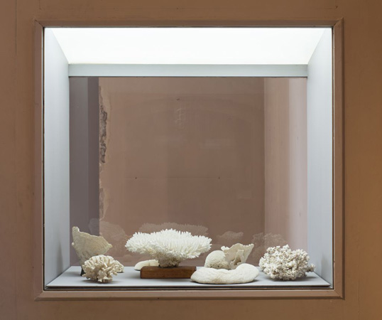 inconnu me devore 40