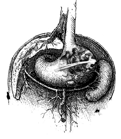 voyage_fantastique_2