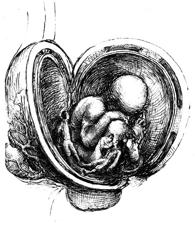 voyage_fantastique_6